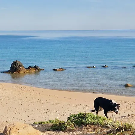 Sardegna Segreta A Pochi Passi Dal Mare Hébergement de vacances *