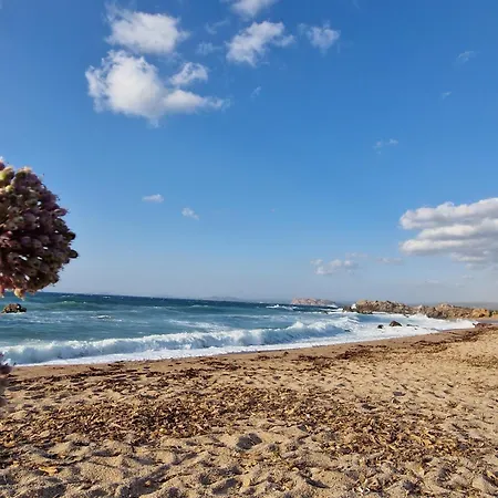 Hébergement de vacances Sardegna Segreta A Pochi Passi Dal Mare Vignola Mare