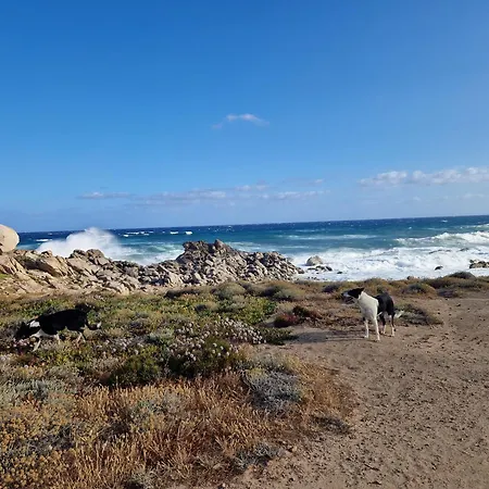 Sardegna Segreta A Pochi Passi Dal Mare 別荘