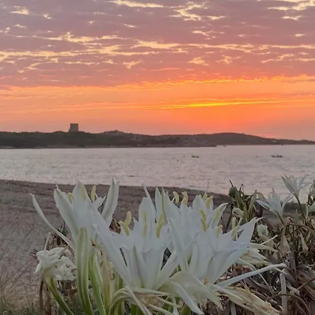 Sardegna Segreta A Pochi Passi Dal Mare *