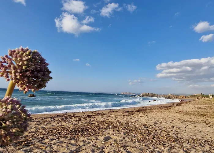 度假居 Sardegna Segreta A Pochi Passi Dal Mare Vignola Mare